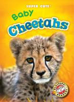 Baby_cheetahs